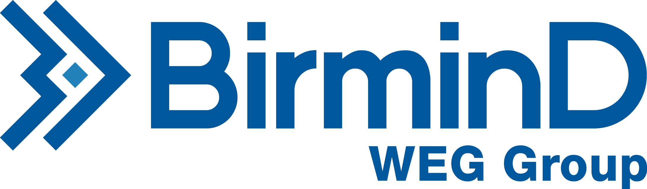 Logotipo BirminD